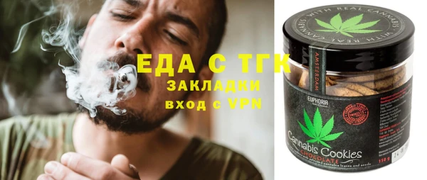 крисы Бородино