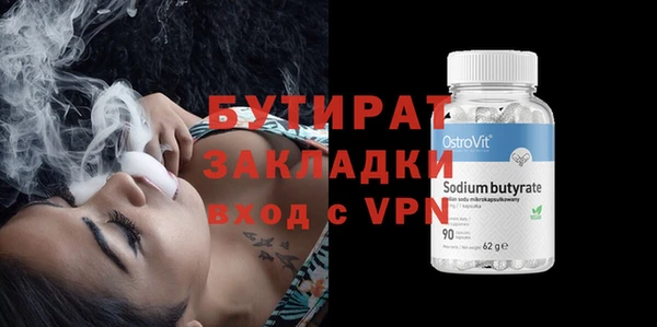 крисы Бородино