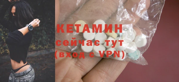 крисы Бородино