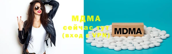 крисы Бородино