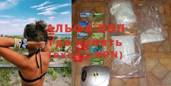 крисы Бородино