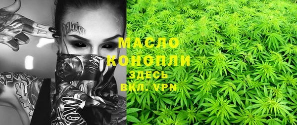 сатива Верхний Тагил