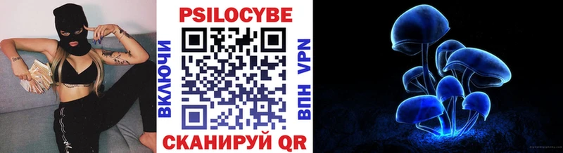 Псилоцибиновые грибы Cubensis Дубна